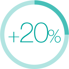 percent icon